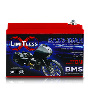 Shake Awake 30 Case 13Ah Smart Motorcycle battery With 3.5A Battery Maintainer