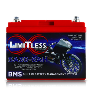 Shake Awake 30 Case 6Ah Smart Motorcycle battery with 3.5A Battery Maintainer