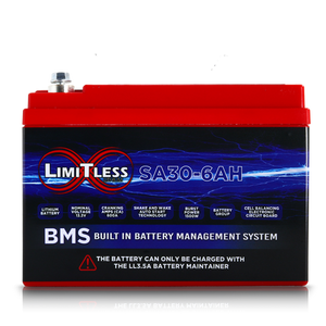 Shake Awake 30 Case 6Ah Smart Motorcycle battery with 3.5A Battery Maintainer