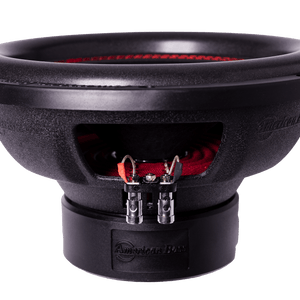DX 12″  Car Subwoofer | 300 Watts RMS | Single Voice Coil 4 Ohm - Version 1